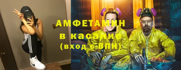 шишки Заводоуковск