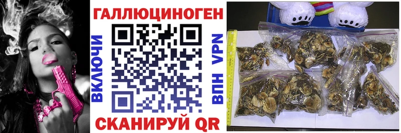 ОМГ ОМГ ссылки  Инза  shop телеграм  магазин продажи   Галлюциногенные грибы прущие грибы 